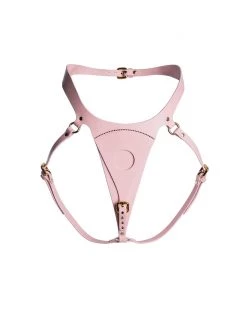 Restrict Panties For Strap-on "Lora" Pink Lingerie