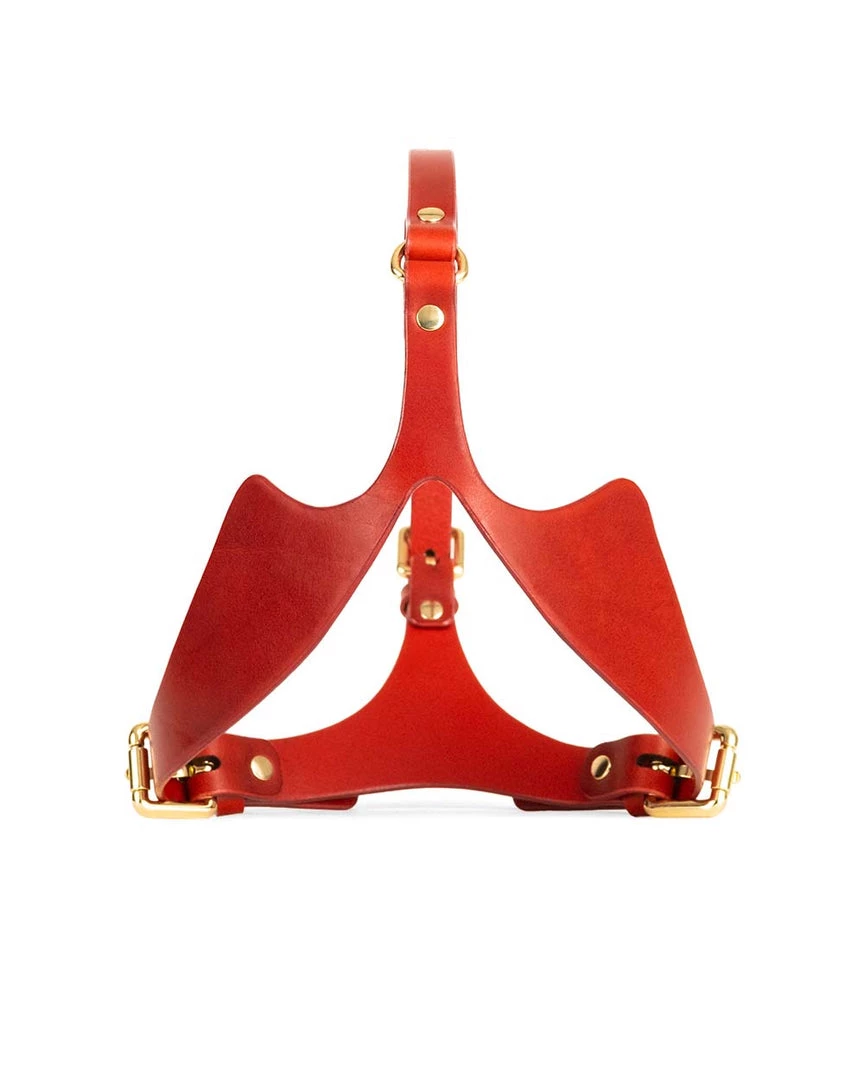 Anoeses Mask "Gyles" Red Restraint 3 Anoeses Mask "Gyles" Red Restraint