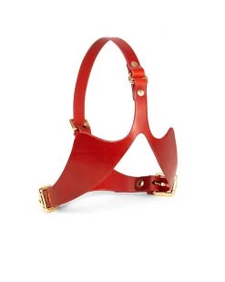 Anoeses Mask "Gyles" Red Restraint