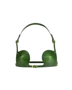 Anoeses Lingerie Bra