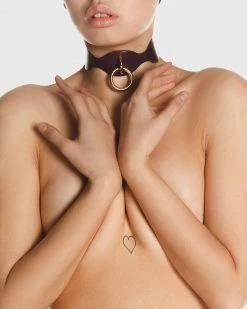 Anoeses Restraint Collar
