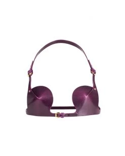 Anoeses Lingerie Bra