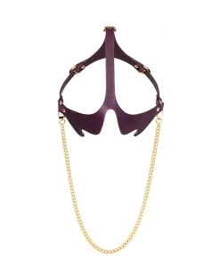 Anoeses Restraint Mask "Vayne" Violet