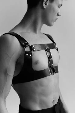Anoeses Harness