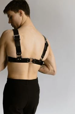 Anoeses Harness