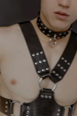 Anoeses Mens Harness