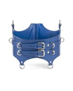 Anoeses Corset "Mayla" Blue Restraint