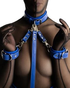Anoeses Restraint Collar