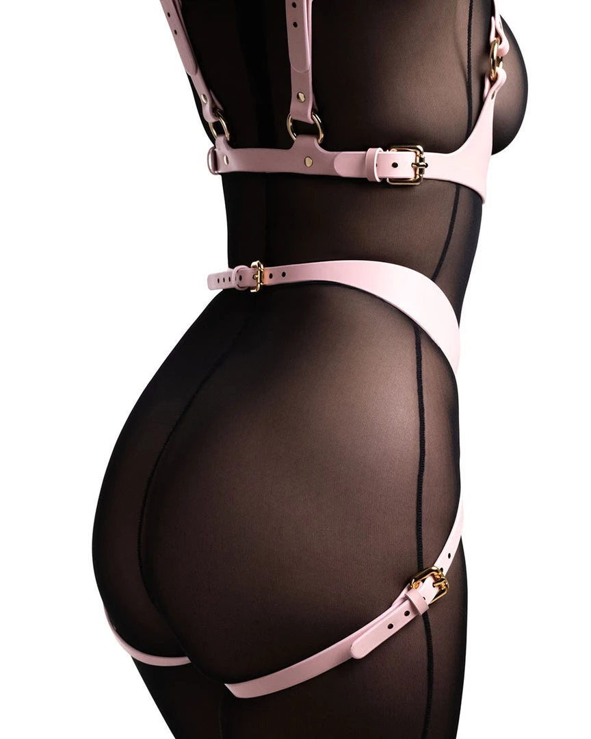 Restrict Panties For Strap-on "Lora" Pink Lingerie 6 Restrict Panties For Strap-on "Lora" Pink Lingerie