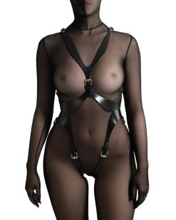 Anoeses Harnesses Harness