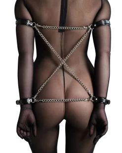 Anoeses Harnesses Harness