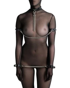 Anoeses Harnesses Harness