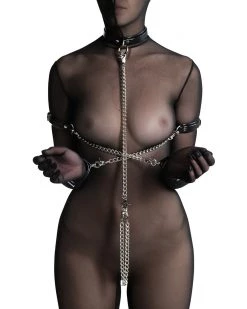 Anoeses Harnesses Harness