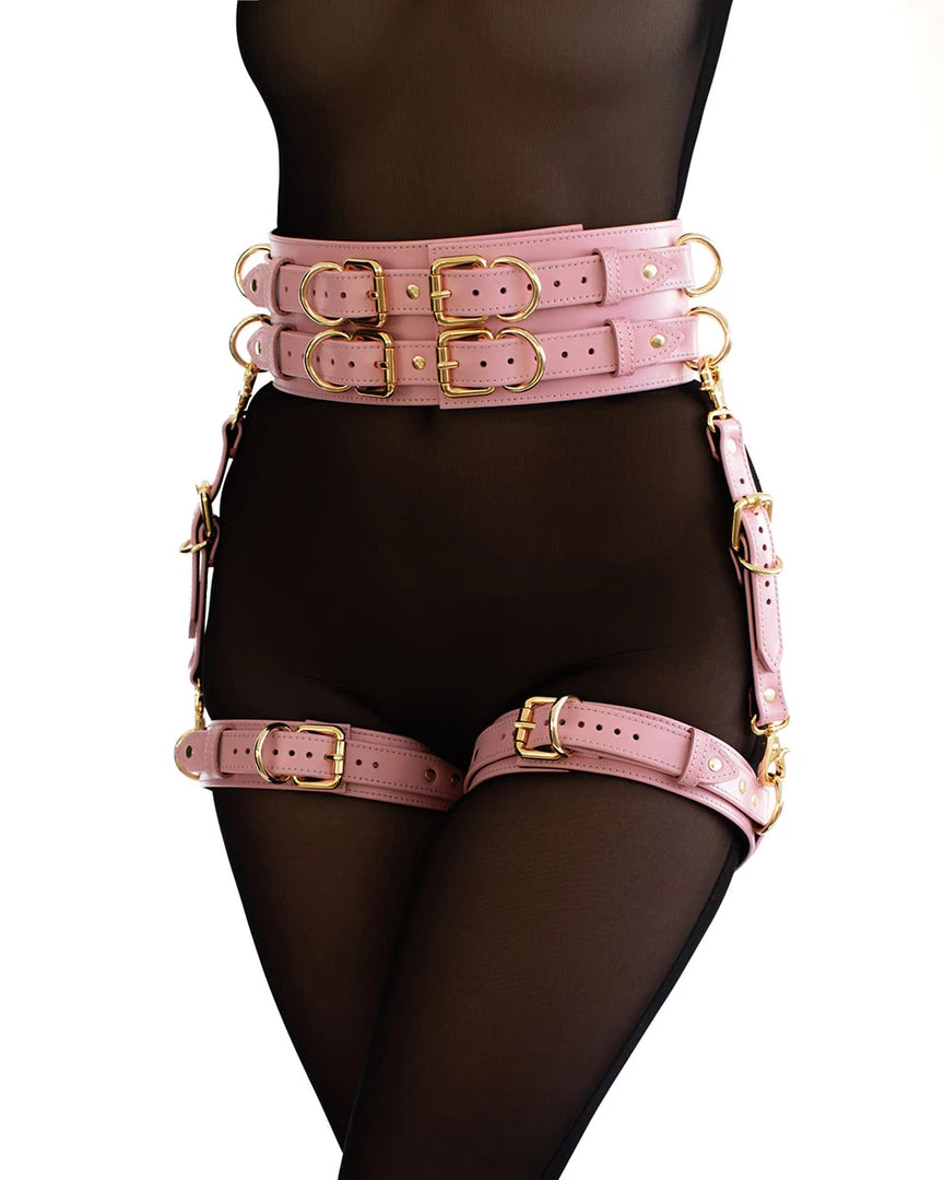 Anoeses Restraint Belt “Aura” Pink 8 Anoeses Restraint Belt “Aura” Pink