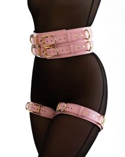 Anoeses Restraint Belt “Aura” Pink 13 Anoeses Restraint Belt “Aura” Pink