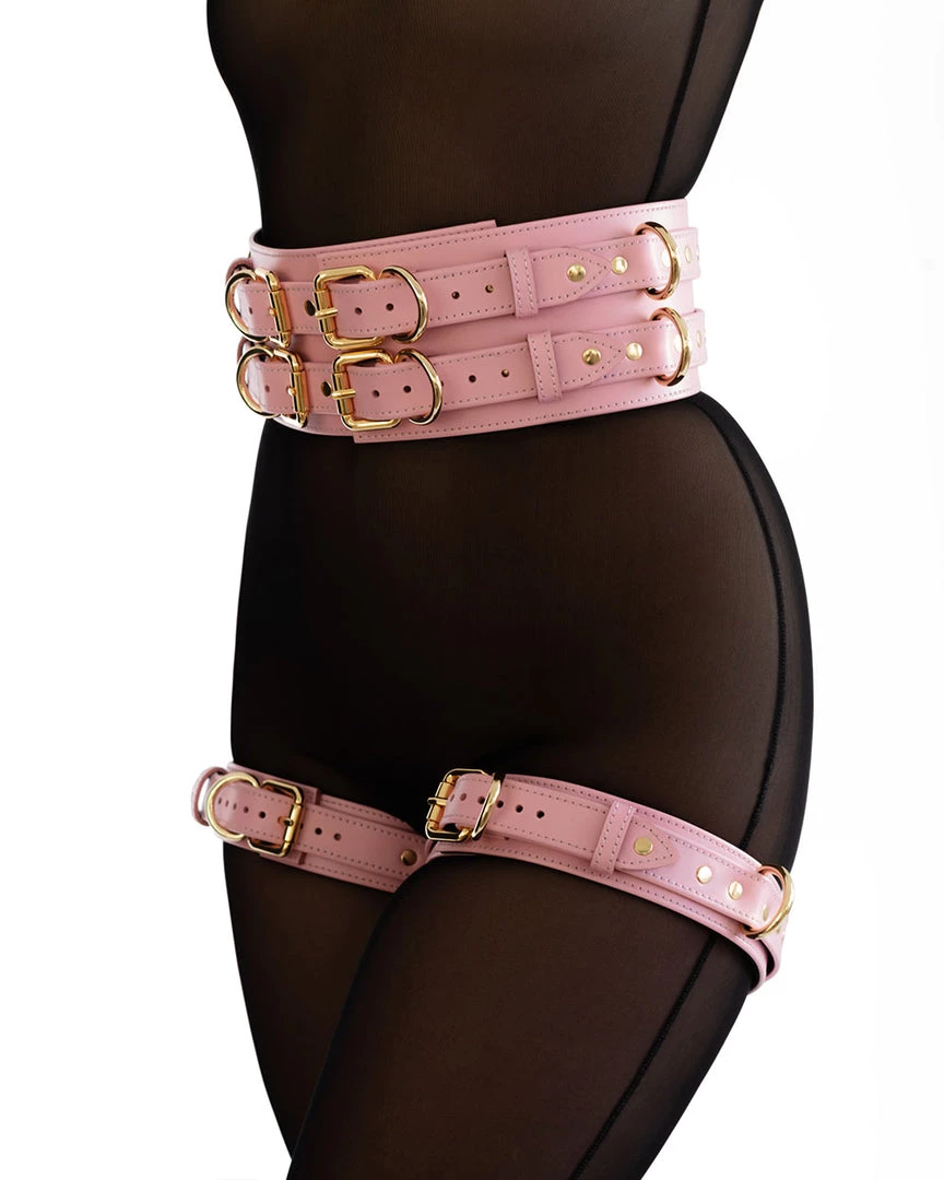 Anoeses Restraint Belt “Aura” Pink 6 Anoeses Restraint Belt “Aura” Pink
