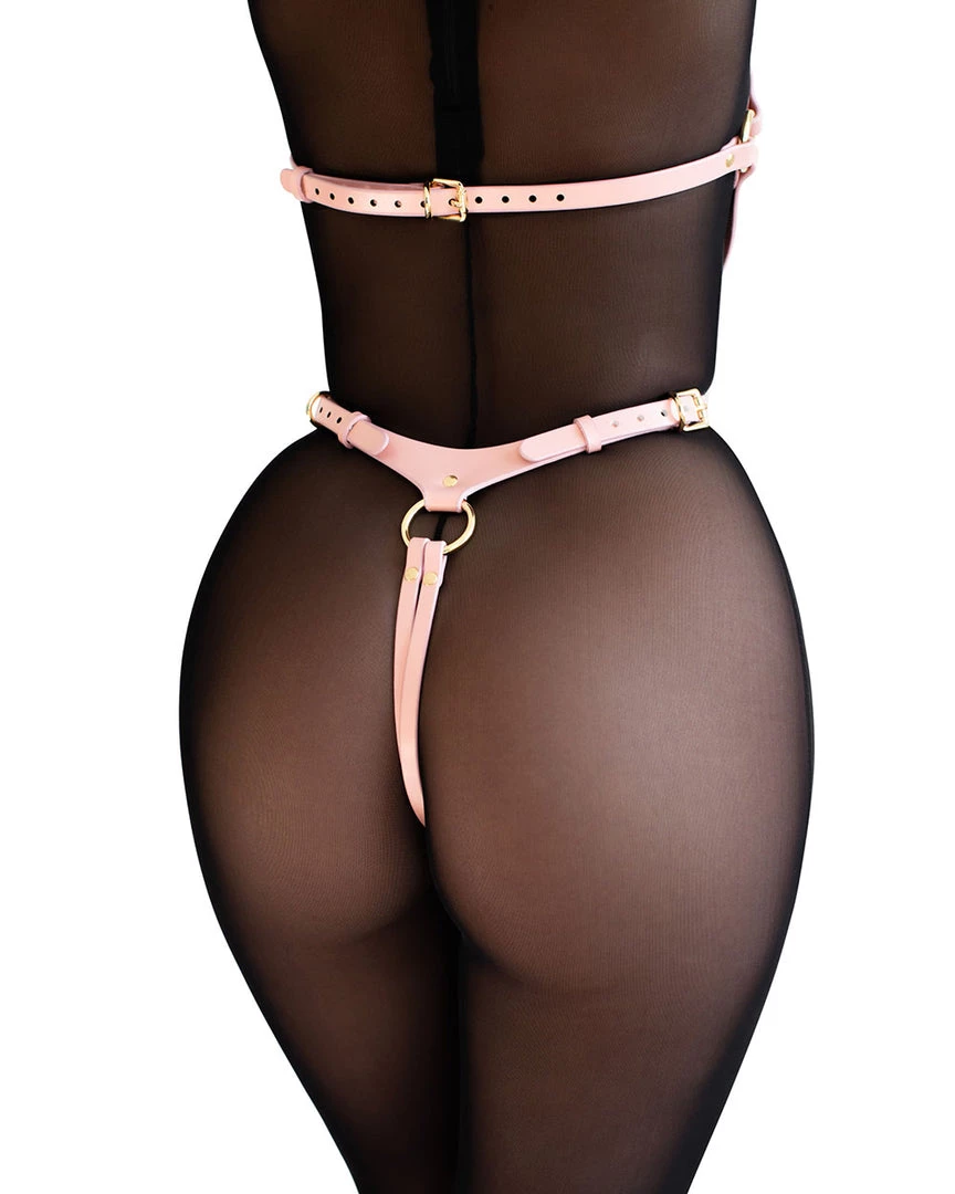 Anoeses Harnesses Harness "Ora" Pink 9 Anoeses Harnesses Harness "Ora" Pink