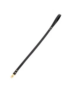 Anoeses Leash "Aura" Patent Collars, Leashes