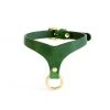 Anoeses Restraint Choker "Nevara Mini" Green