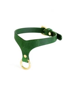 Anoeses Restraint Choker