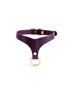 Anoeses Restraint Choker