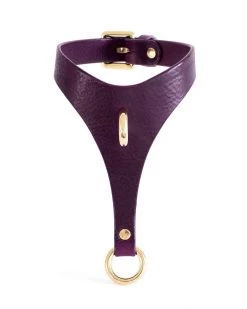 Anoeses Choker "Nevara" Violet Restraint