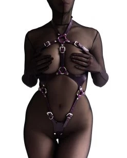 Anoeses Harnesses Harness