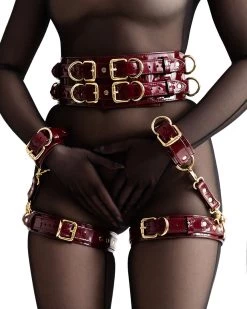 Anoeses Restraint Set "Aura" Burgundy Patent 17 Anoeses Restraint Set