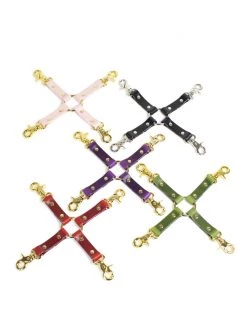 ANOESES Restraint X-Set