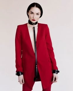 Anoeses Restraint Collar