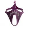 Restrict Mask “FLCN” Violet Restraint