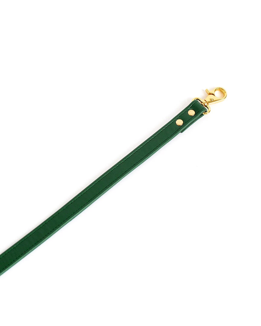 Anoeses Collars, Leashes Leash "Aura" 9 Anoeses Collars, Leashes Leash "Aura"