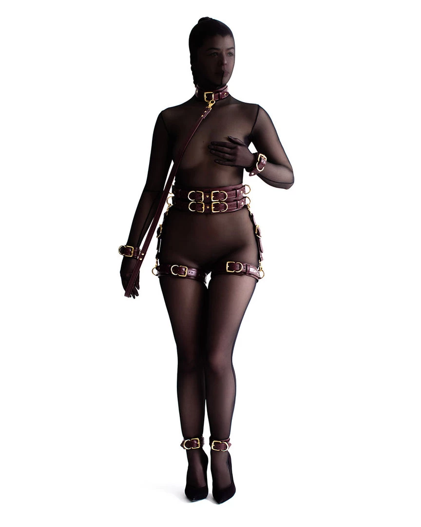 Anoeses Restraint Set "Aura" Burgundy 3 Anoeses Restraint Set "Aura" Burgundy
