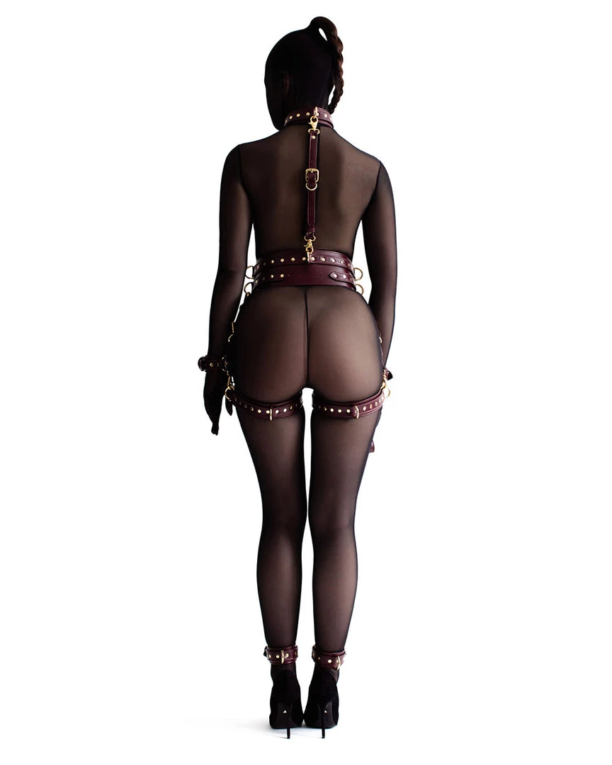 Anoeses Restraint Set "Aura" Burgundy 4 Anoeses Restraint Set "Aura" Burgundy