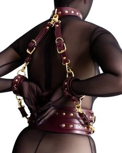 Anoeses Restraint Set "Aura" Burgundy 17 Anoeses Restraint Set