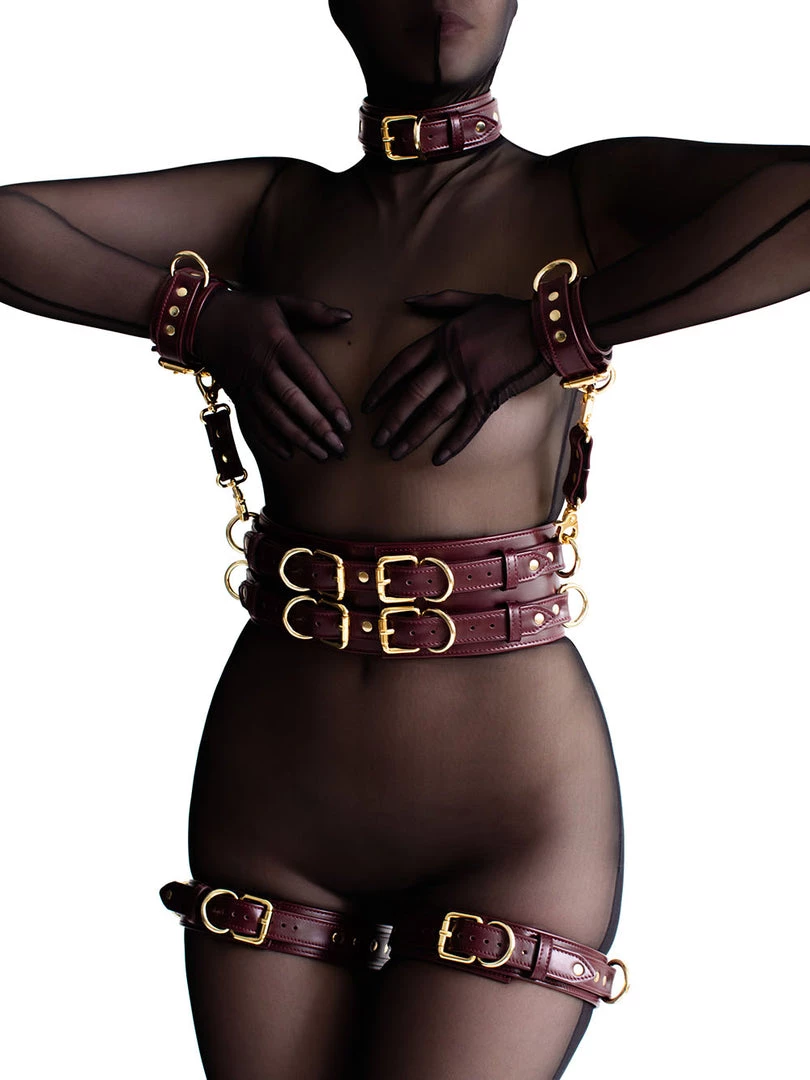 Anoeses Restraint Set "Aura" Burgundy 9 Anoeses Restraint Set "Aura" Burgundy