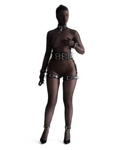 Anoeses Restraint Collar