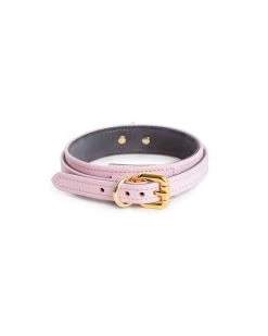Anoeses Collar Mini "Dita" Pink Collars, Leashes