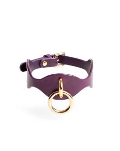 Anoeses Restraint Collar
