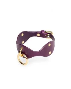 Anoeses Restraint Collar