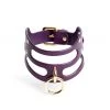 Anoeses Restraint Collar "Liam" Violet