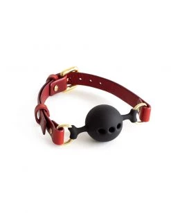 Anoeses Hard Leather Gag Red Restraint