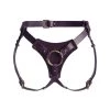 Restrict Lingerie Panties For Strap-on "West" Violet