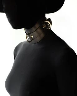Anoeses Collar