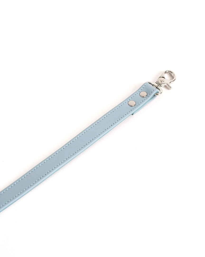 Anoeses Collars, Leashes Leash "Aura" 7 Anoeses Collars, Leashes Leash "Aura"