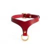 Anoeses Choker "Nevara Mini" Red