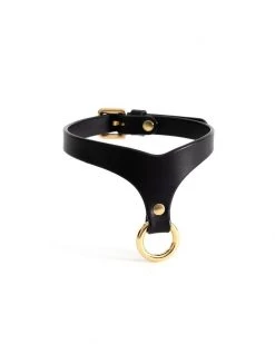 Anoeses Restraint Choker