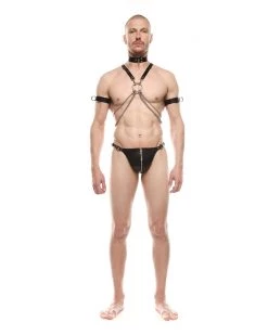 ANOESES Harness